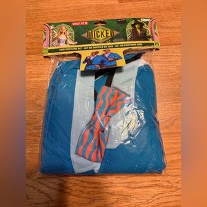 Brand new wicked kids dress up costume